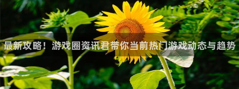 天美娱乐登陆测速：最新攻略！游戏圈资讯君带你当前热门游戏动态