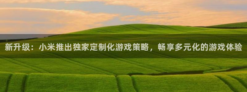 天美娱乐4开户：新升级：小米推出独家定制化游戏策略，畅享多元