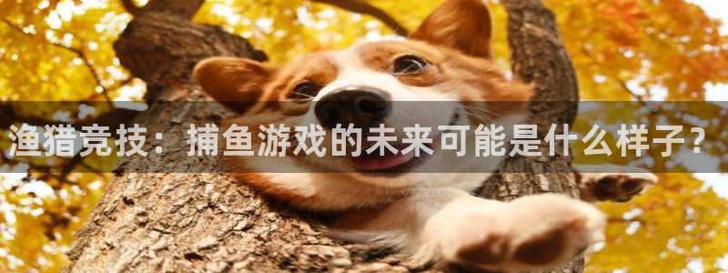 天美娱乐主管：渔猎竞技：捕鱼游戏的未来可能是什么样子？