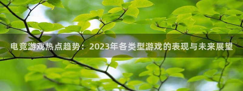 天美娱乐登录网址：电竞游戏热点趋势：2023年各类型游戏的表