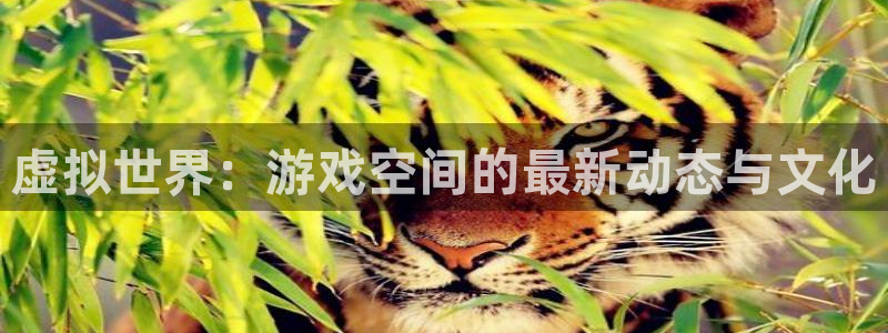 天美娱乐Ii：虚拟世界：游戏空间的最新动态与文化