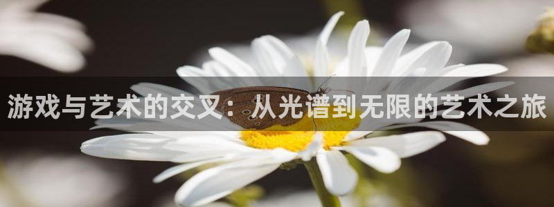 天美娱乐注册测速：游戏与艺术的交叉：从光谱到无限的艺术之旅