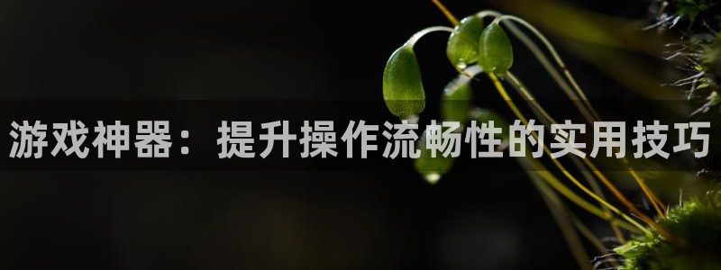 天美娱乐升级5994月：游戏神器：提升操作流畅性的实用技巧