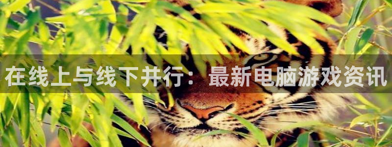 手机版天美娱乐客户端下载：在线上与线下并行：最新电脑游戏资讯