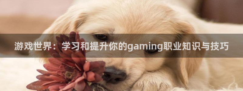 天美娱乐平台负责人：游戏世界：学习和提升你的gaming职业