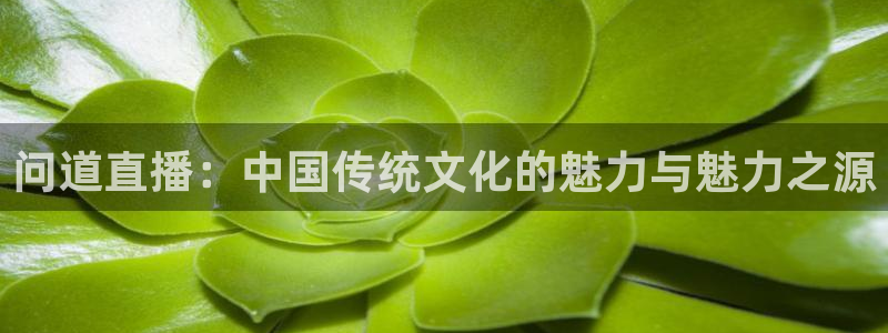 jrs足球直播吧高清直播：问道直播：中国传统文化的魅力与魅力之源