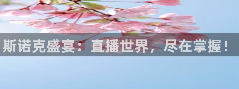 jrs直播吧乐球吧低调：斯诺克盛宴：直播世界，尽在掌握！